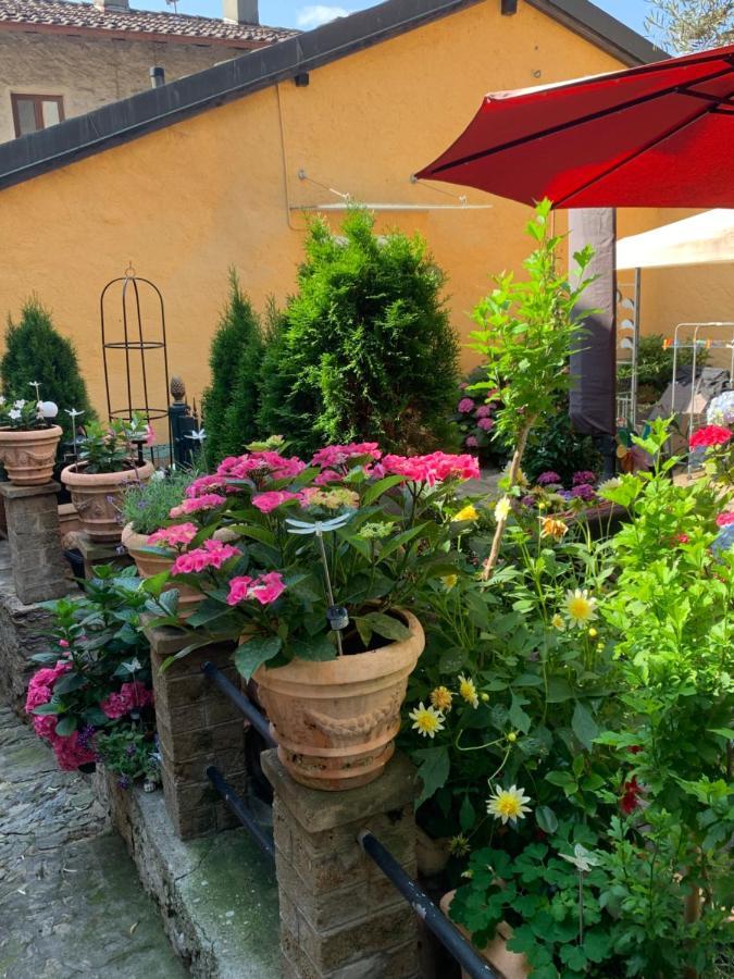 Ferienhaus, Rustico Auf Burg Locarno Eksteriør billede